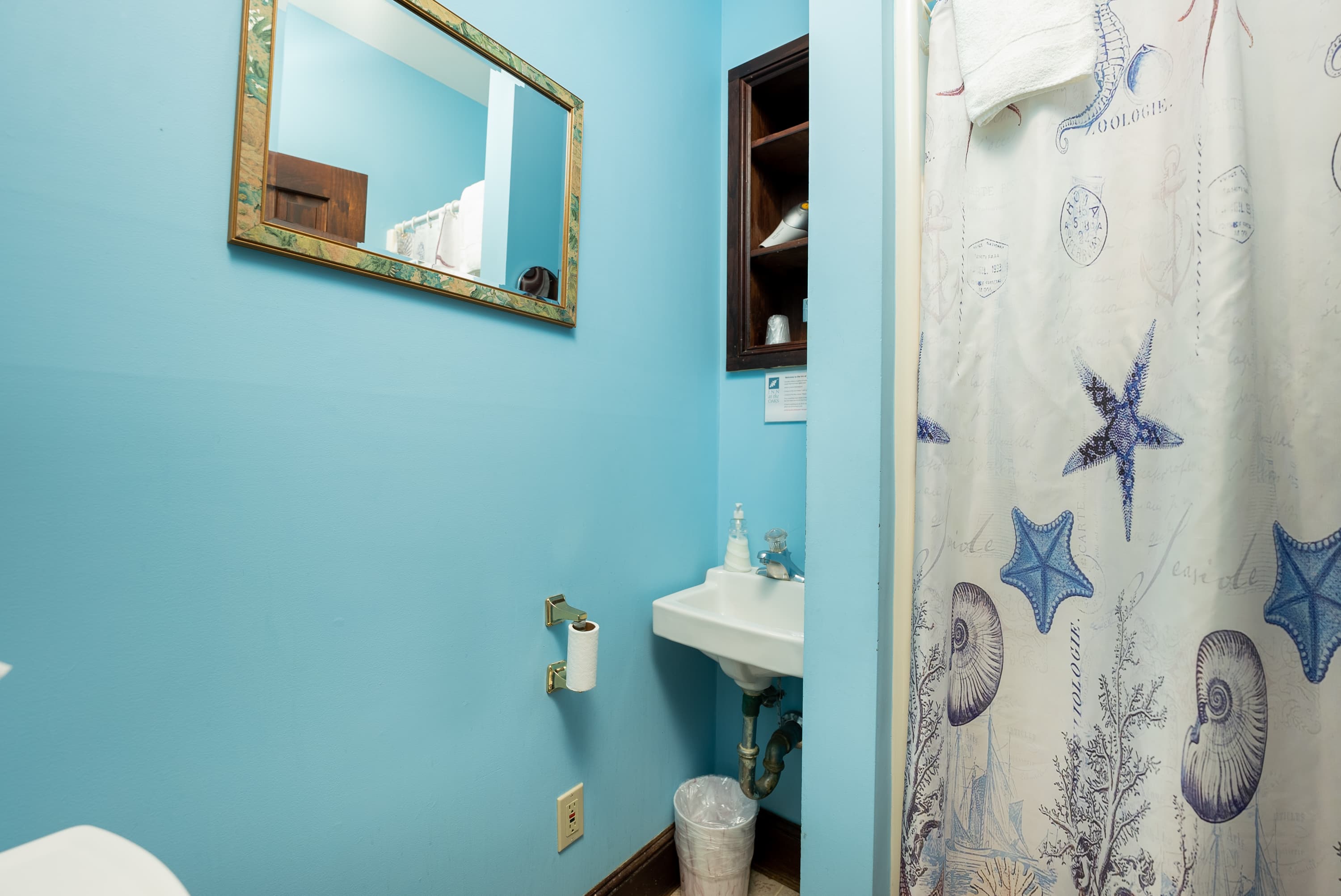 Garden Room bath with walk in shower
