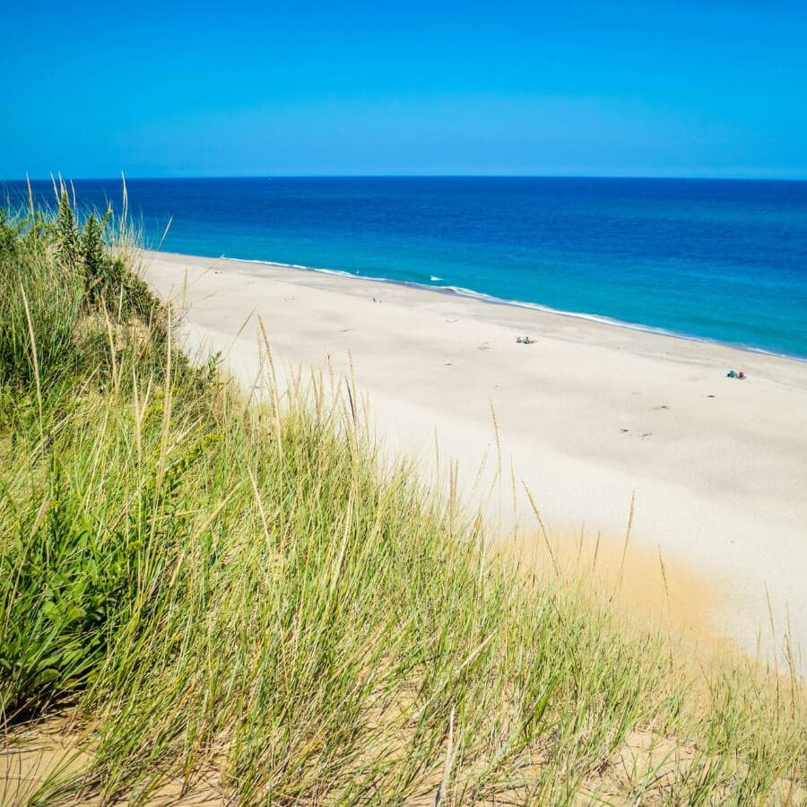 A sandy beach stretches along a calm blue ocean under a clear sky, framed by lush green grass.