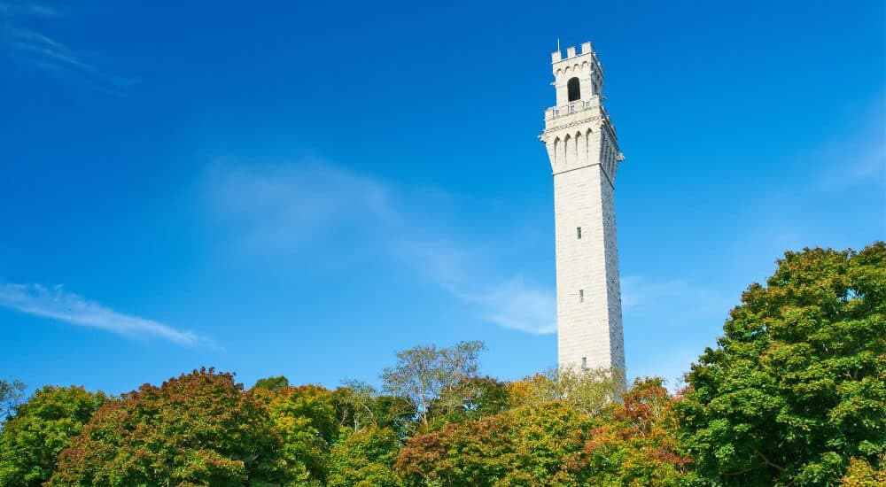 A tall, white tower stands amidst green trees under a clear blue sky.