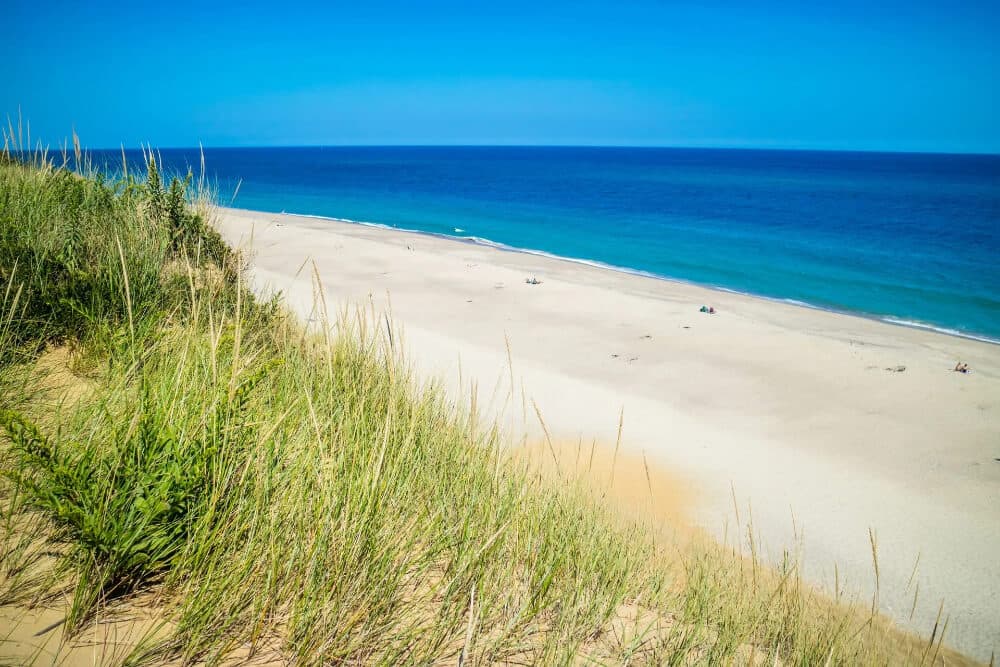 A panoramic view of a sandy beach framed by green grass under a clear blue sky.