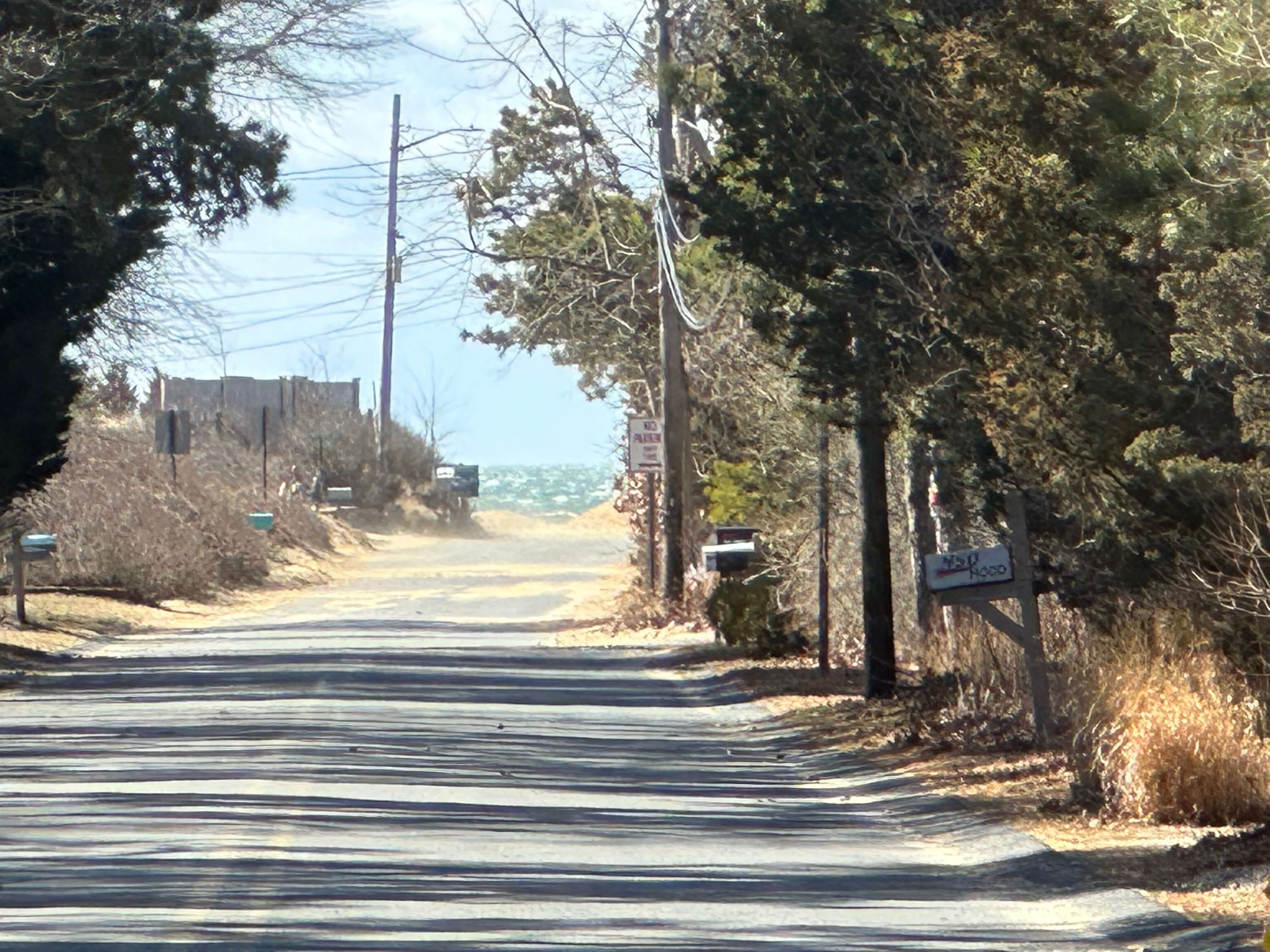 A view of a quiet, tree-lined street leading towards the ocean in the distance.