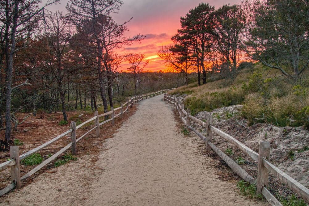 A sandy path lined with wooden fences leads through trees under a colorful sunset sky.